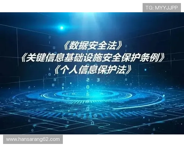 尊龙中国官网登录入口网址官方入口安全指南，保障用户账号信息安全与隐私保护