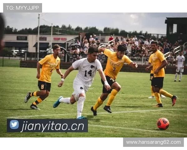 尊龙凯时平台客户服务体系建设，全天候专业支持保障用户无忧体验