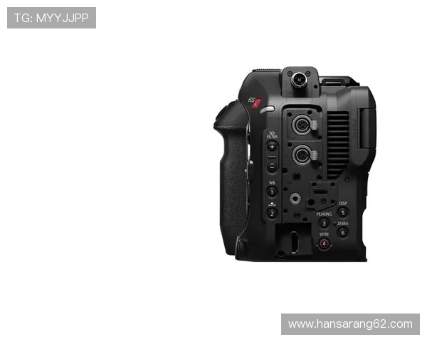 z6尊龙官方最新版本更新内容介绍，带来全新玩法和优化体验等待你的探索