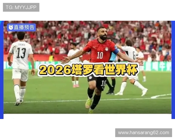 世界杯埃及对阵伊朗比赛前的专家预测与赛场胜负概率分析